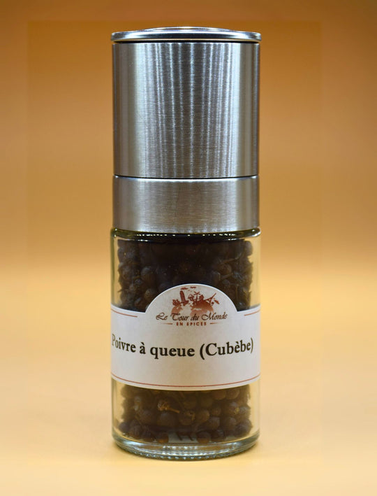 Poivre à queue (Cubèbe)
