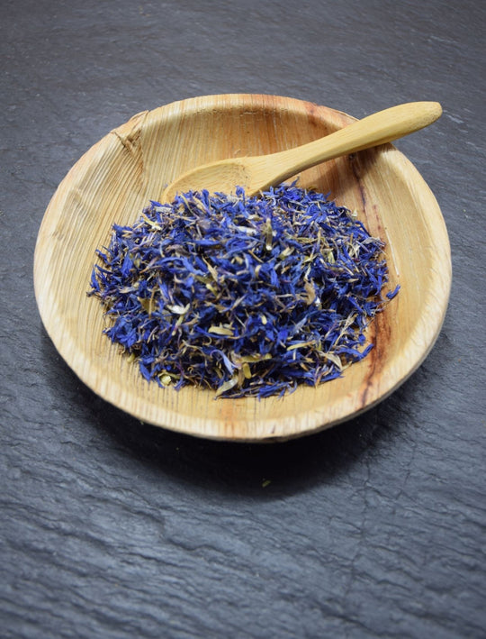 Bleuet fleurs