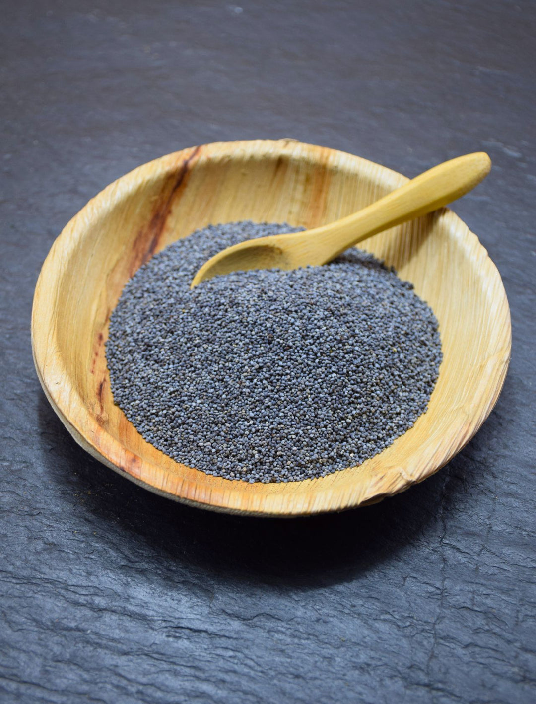 Pavot bleu graines